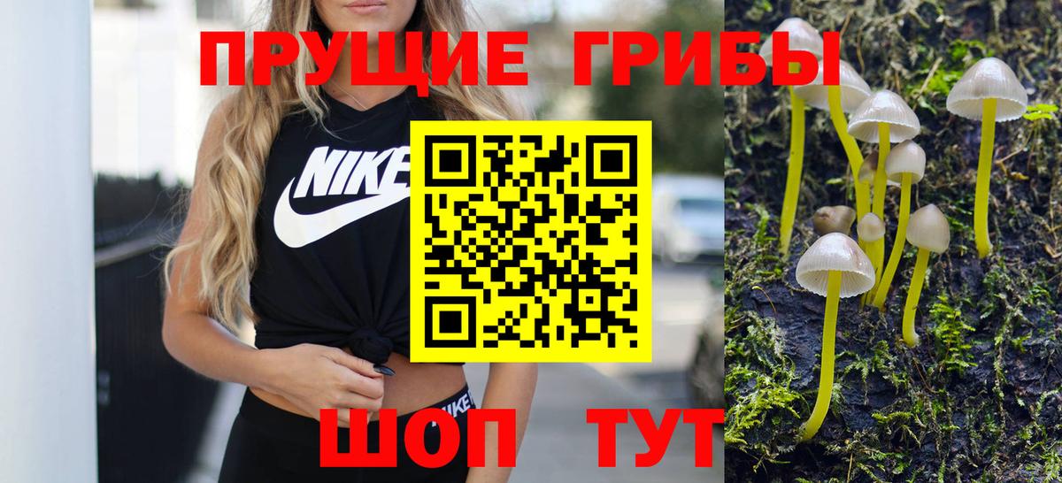 Псилоцибиновые грибы ЛСД Лесной